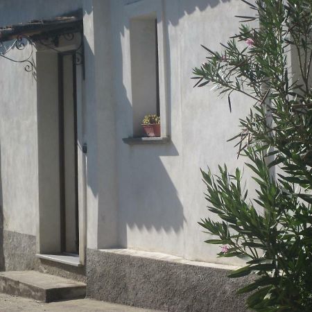 B&B Vaiana Maida Pokoj fotografie