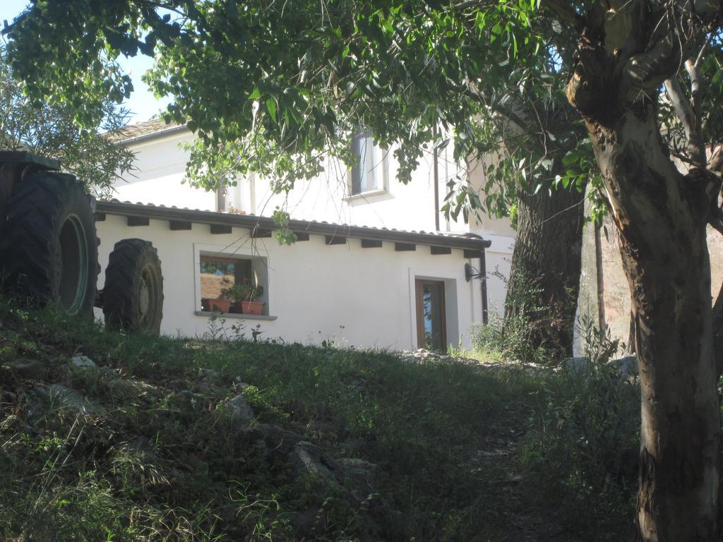 B&B Vaiana Maida Exteriér fotografie